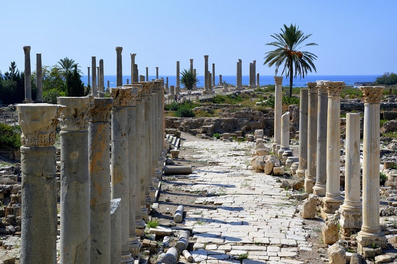 Archaeological Excavation